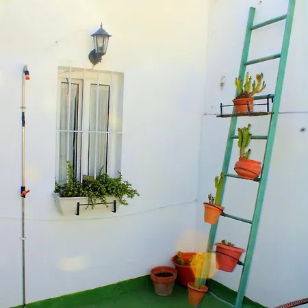 Plaza Nueva Terraza Sevilla